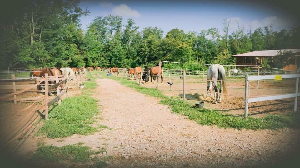 Agriturismo La Fornace Centro Ippico كومو المظهر الخارجي الصورة