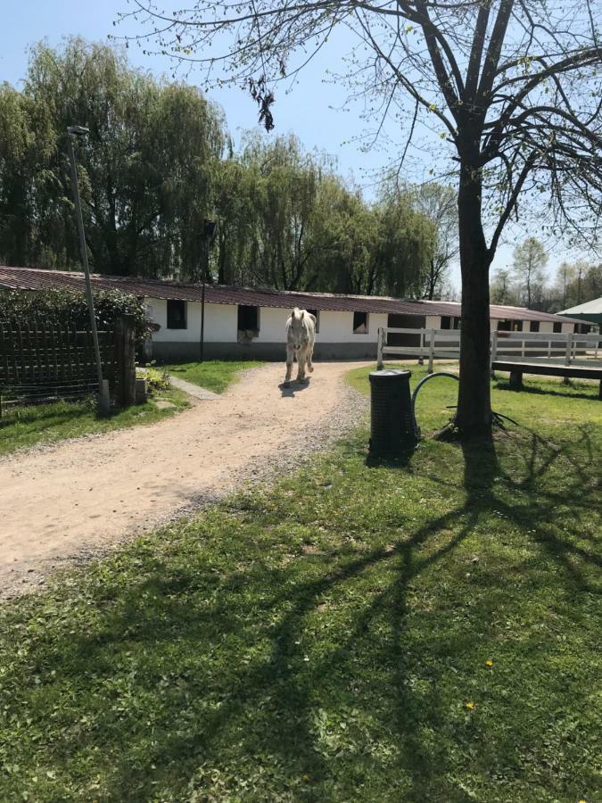 Agriturismo La Fornace Centro Ippico كومو المظهر الخارجي الصورة
